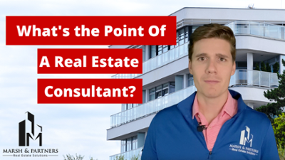 A real estate consultant can help businesses manage development risk during a project.